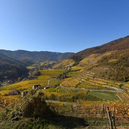 شقة Weingut Piewald Gut am Steg المظهر الخارجي الصورة